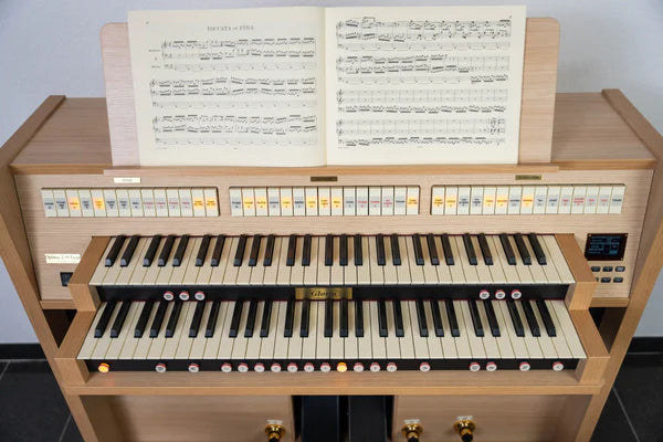 Orgel Gloria Optimus Plus 2-39 Trend